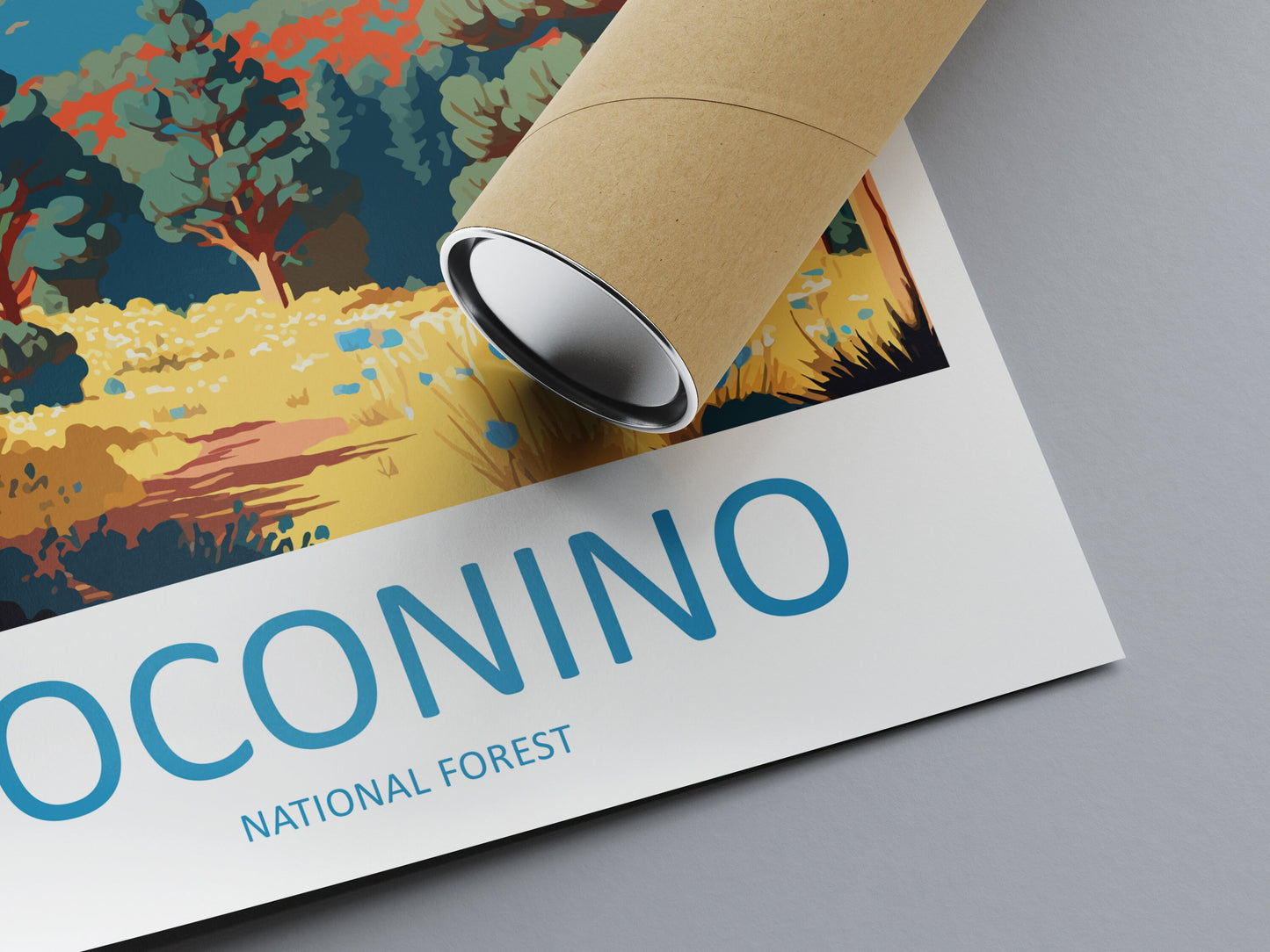 Coconino National Forest Travel Print Wall Art Coconino National Forest Wall Hanging Home Décor Coconino National Forest Gift Art Arizona