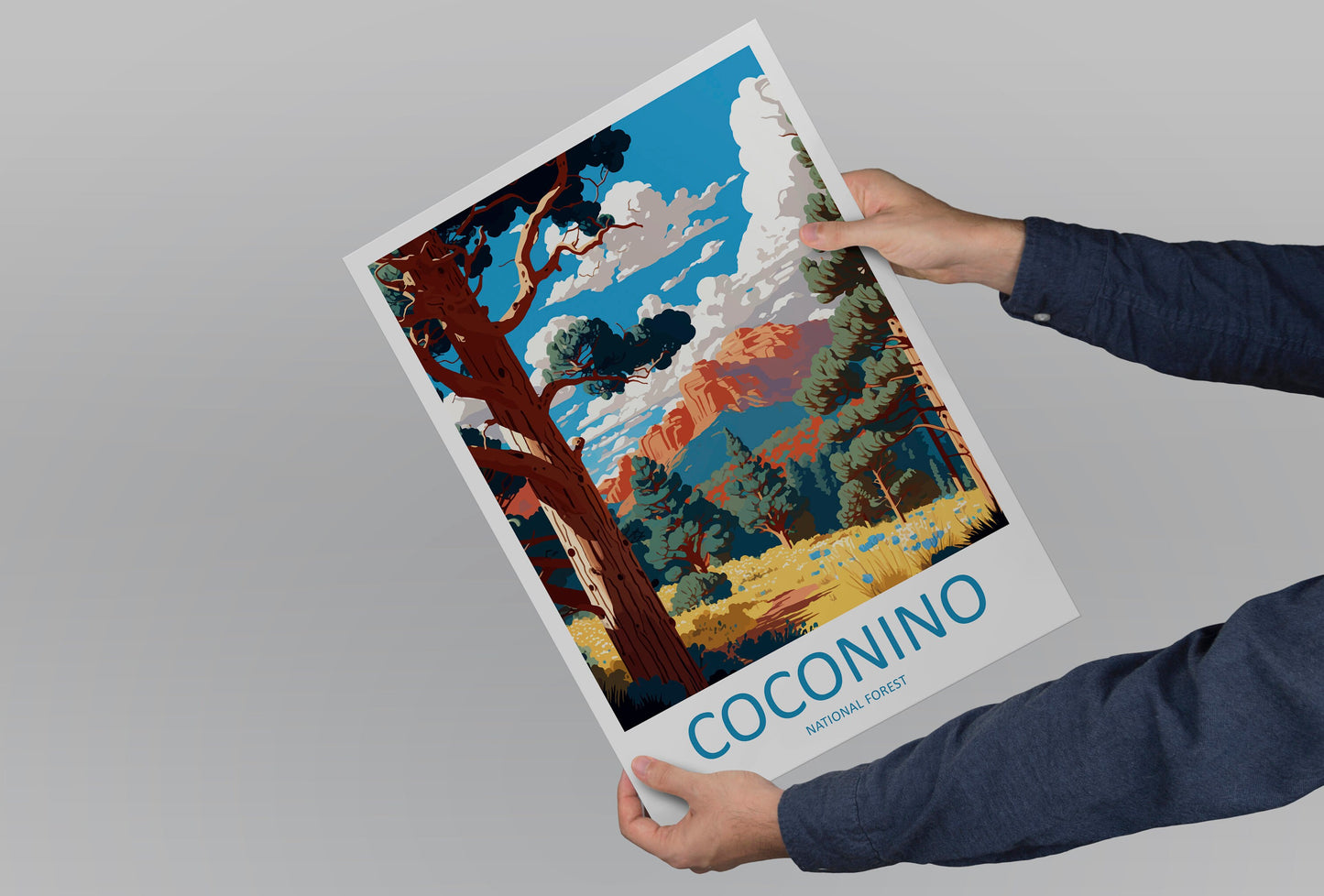 Coconino National Forest Travel Print Wall Art Coconino National Forest Wall Hanging Home Décor Coconino National Forest Gift Art Arizona