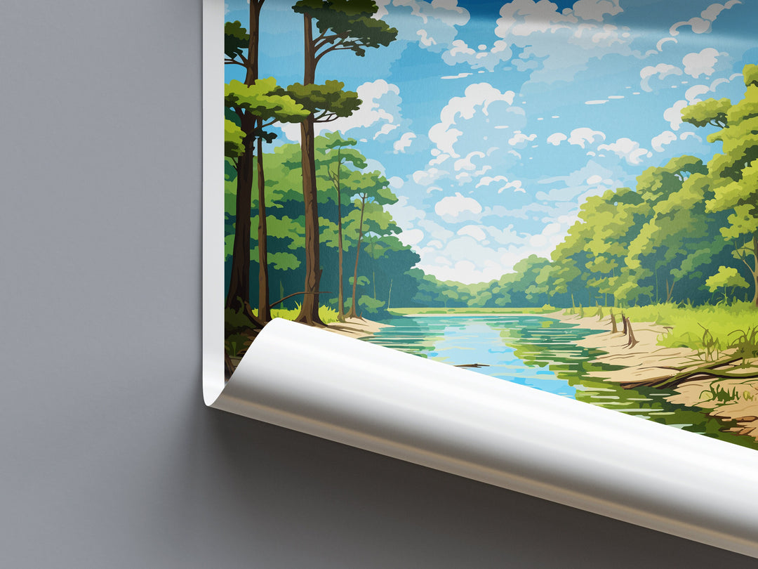 Congaree National Park Travel Print Wall Art Congaree National Park Wall Hanging Home Décor Congaree National Park Gift Art