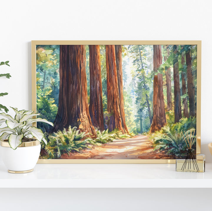 Redwood National Park Watercolor Poster California Travel Print Forest Painting Nature Wall Art USA Landscape Souvenir