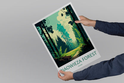Białowieża Forest Travel Print Wall Art Białowieża Forest Wall Hanging Home Décor Białowieża Forest Gift Art Lovers Poland Art Lover Gift