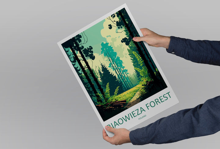 Białowieża Forest Travel Print Wall Art Białowieża Forest Wall Hanging Home Décor Białowieża Forest Gift Art Lovers Poland Art Lover Gift