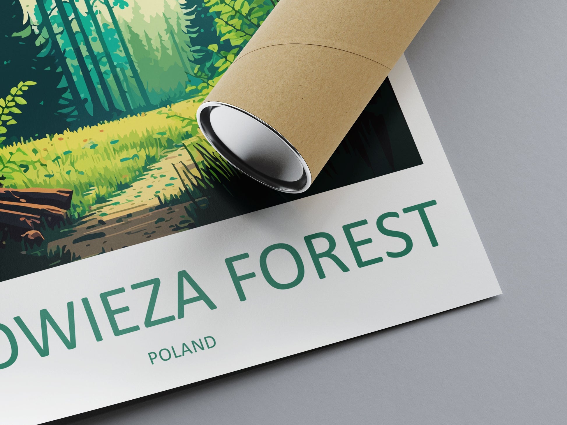 Białowieża Forest Travel Print Wall Art Białowieża Forest Wall Hanging Home Décor Białowieża Forest Gift Art Lovers Poland Art Lover Gift