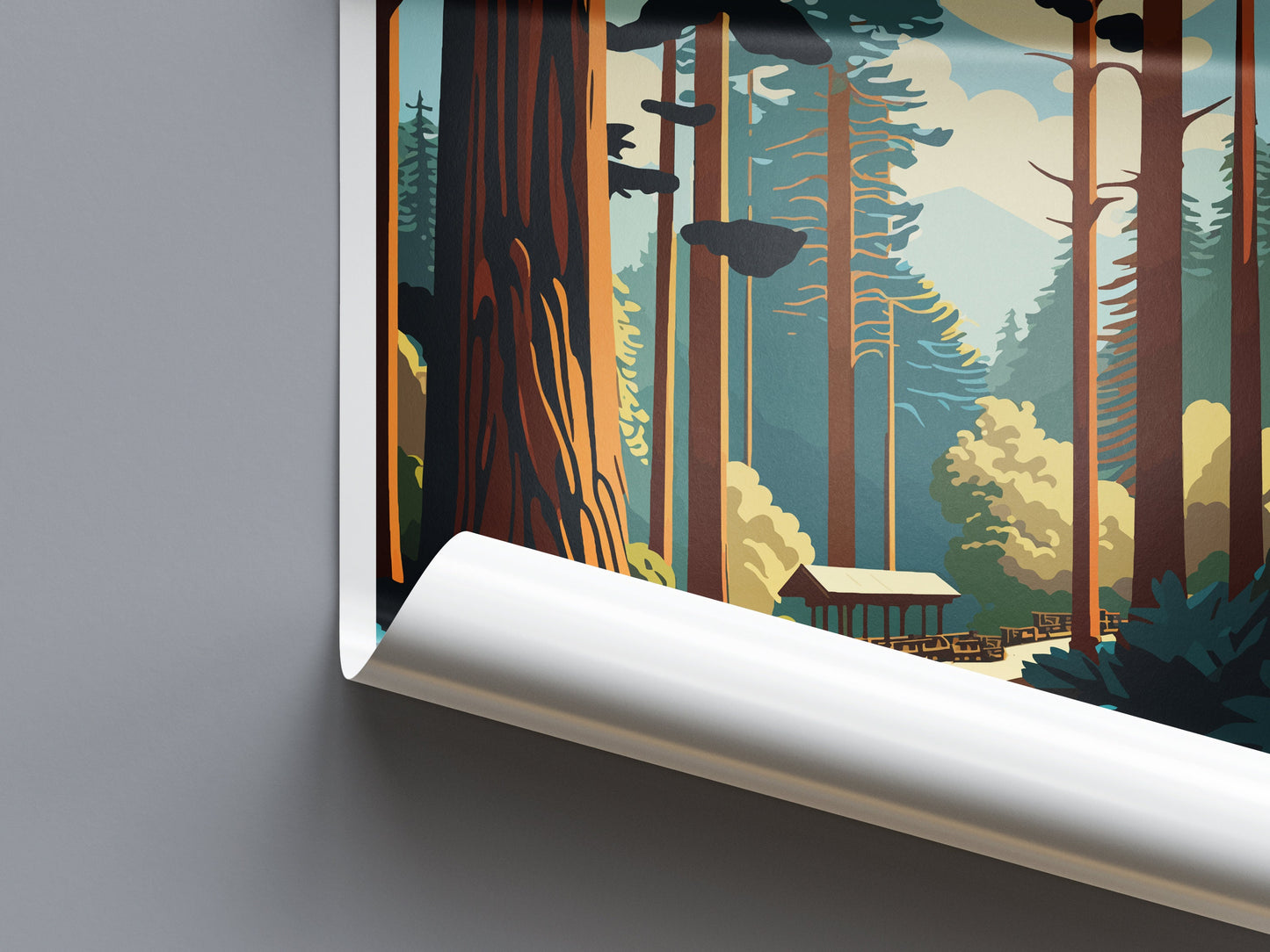 Muir Woods National Monument Travel Print Wall Art Muir Woods Wall Hanging Home Décor Muir Woods Gift Art Lovers California Art Lover Gift