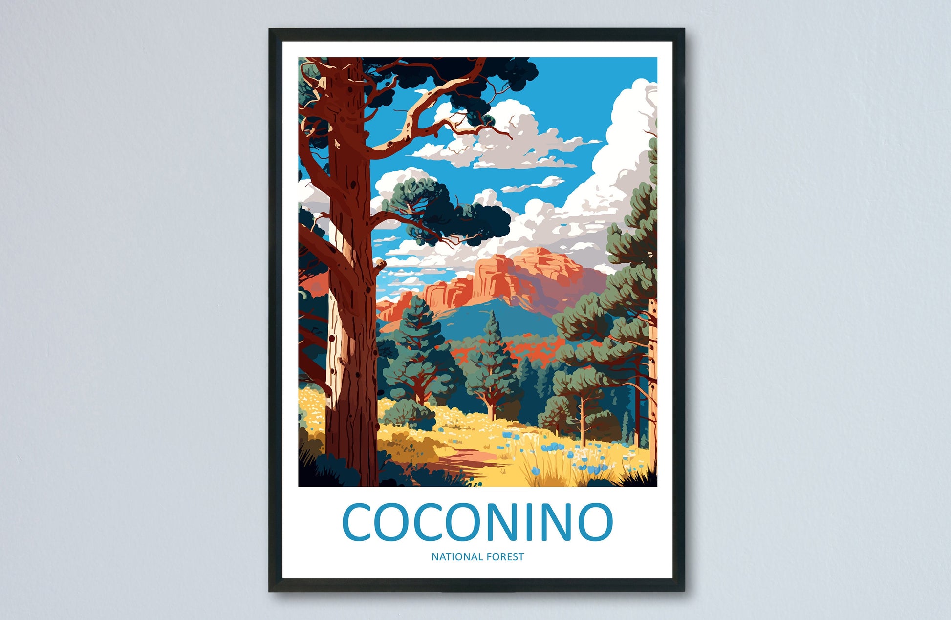 Coconino National Forest Travel Print Wall Art Coconino National Forest Wall Hanging Home Décor Coconino National Forest Gift Art Arizona