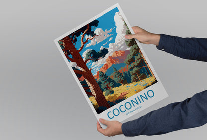 Coconino National Forest Travel Print Wall Art Coconino National Forest Wall Hanging Home Décor Coconino National Forest Gift Art Arizona