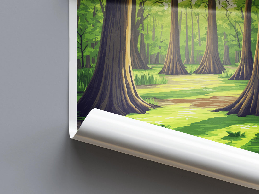Cache River State Natural Area Travel Print Cache River Wall Decor Illinois Cache River Art Cache River Wall Art Poster Gift Nature Lovers