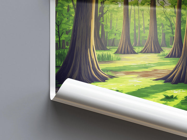 Cache River State Natural Area Travel Print Cache River Wall Decor Illinois Cache River Art Cache River Wall Art Poster Gift Nature Lovers