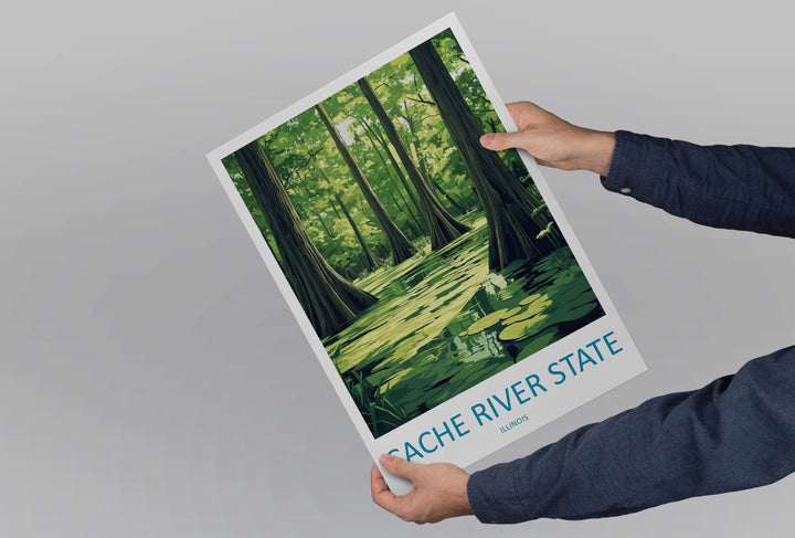 Cache River State Natural Area Travel Print Cache River Wall Decor Illinois Cache River Art Cache River Wall Art Poster Gift Nature Lovers