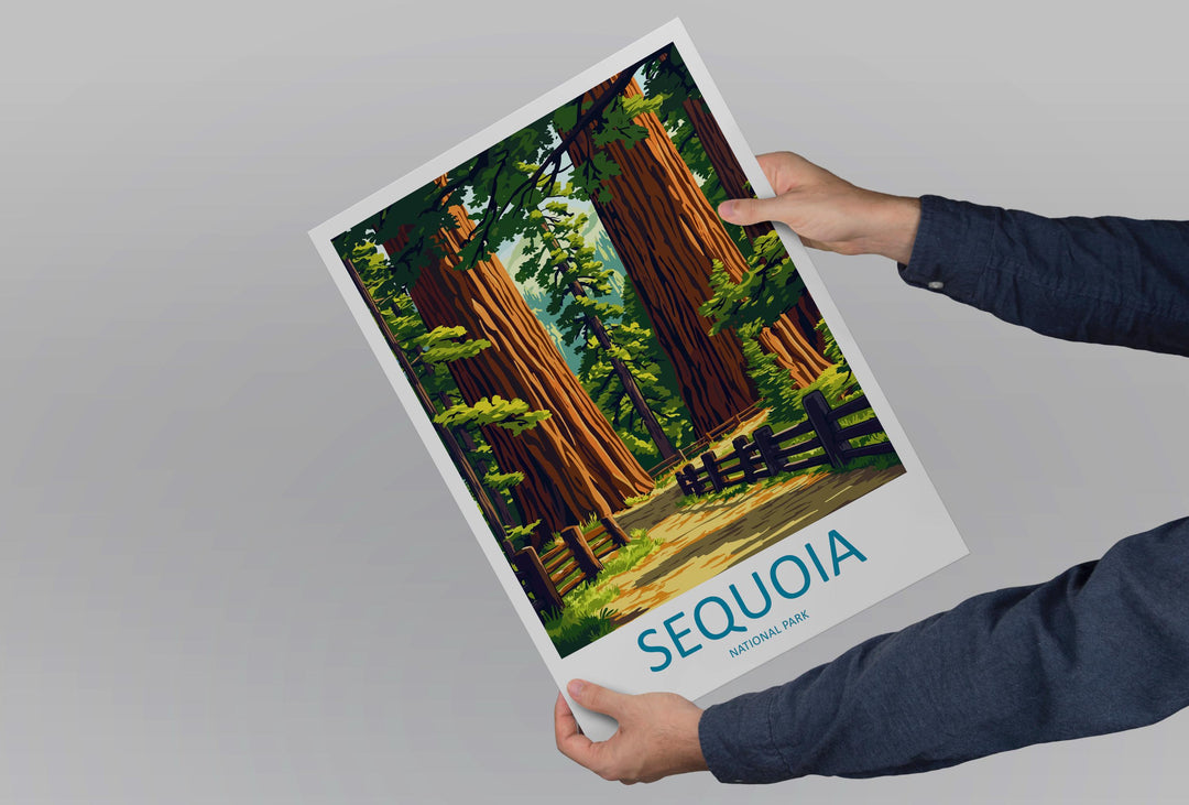 Sequoia National Park Travel Poster California Wall Art Redwood Forest Print Mountain View Illustration Sequoia Gift Souvenir Scene
