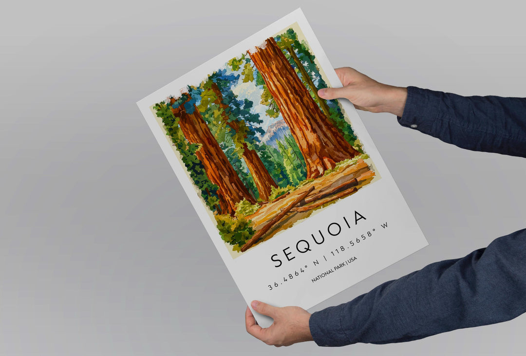 Sequoia Watercolor Poster Sequoia California Travel Print Wall Art Sequoia Home Decor Sequoia Gift Art Lovers Sequoia National Park