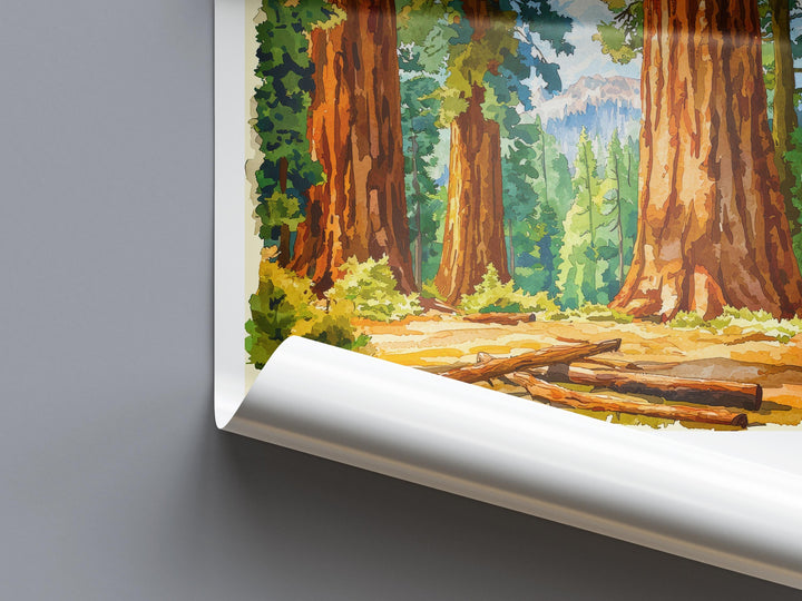 Sequoia Watercolor Poster Sequoia California Travel Print Wall Art Sequoia Home Decor Sequoia Gift Art Lovers Sequoia National Park