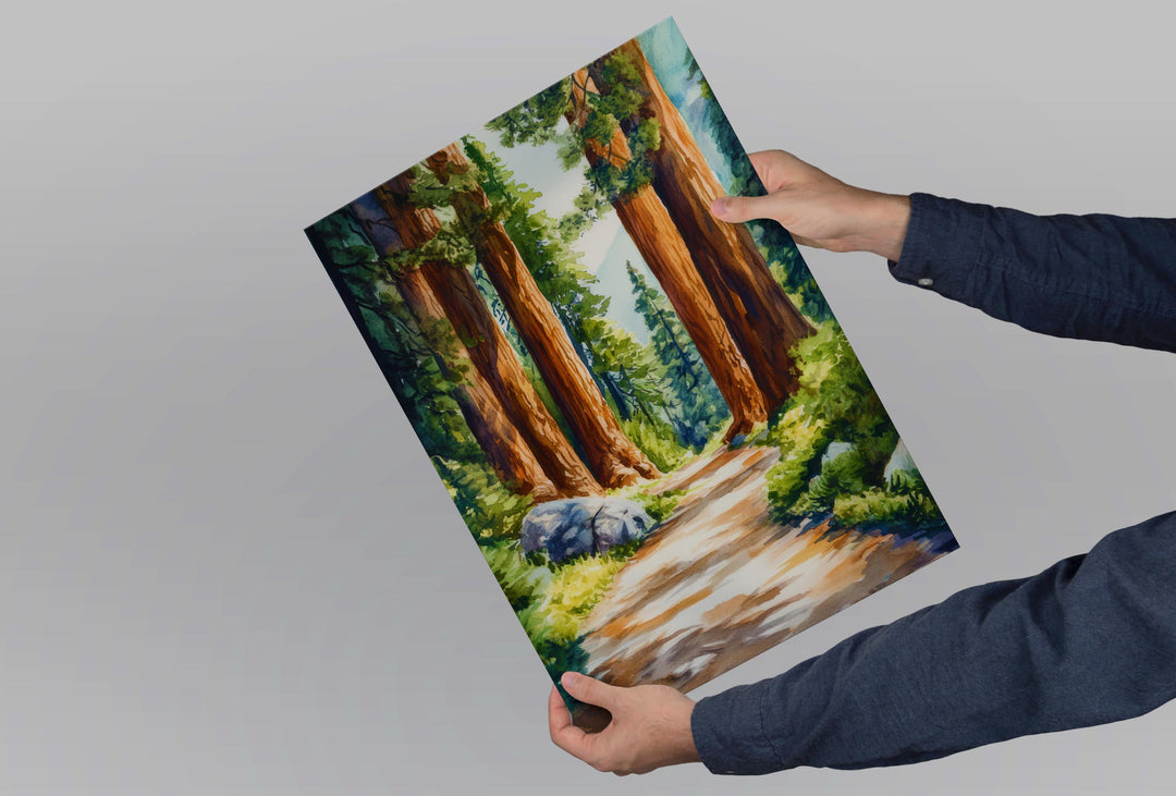 Sequoia National Park Watercolor Poster Sequoia National Park California Travel Print Wall Art Sequoia Home Decor Sequoia Gift Art Lovers