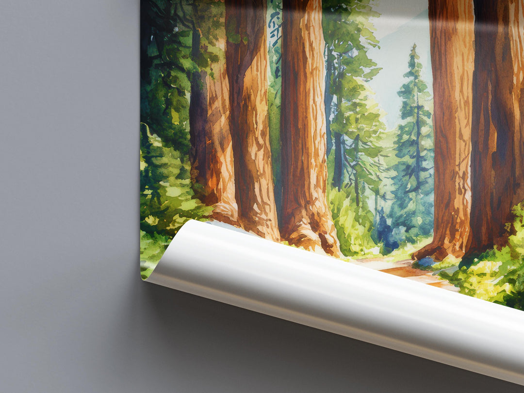 Sequoia National Park Watercolor Poster Sequoia National Park California Travel Print Wall Art Sequoia Home Decor Sequoia Gift Art Lovers